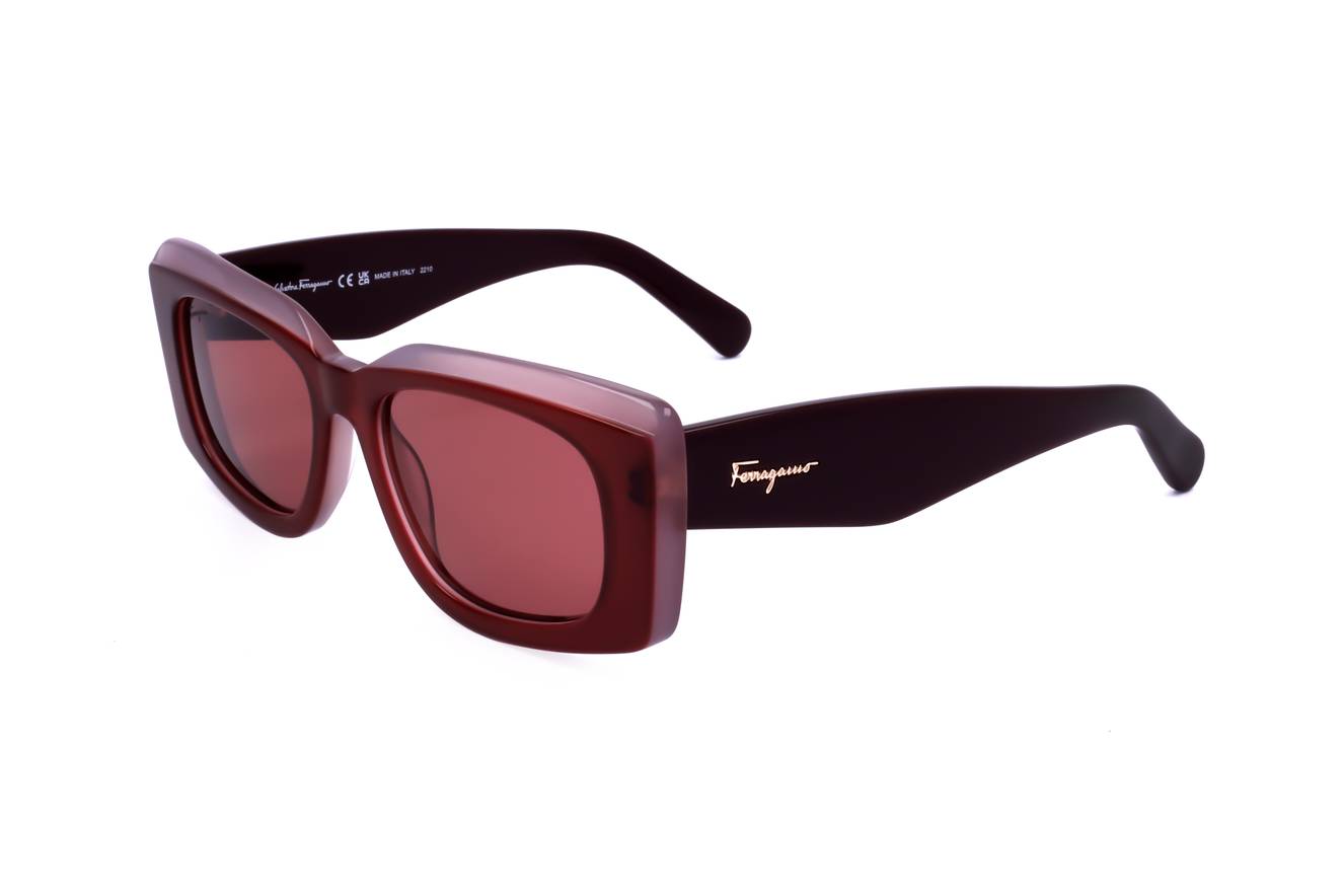 Salvatore Ferragamo SF1079S 614  