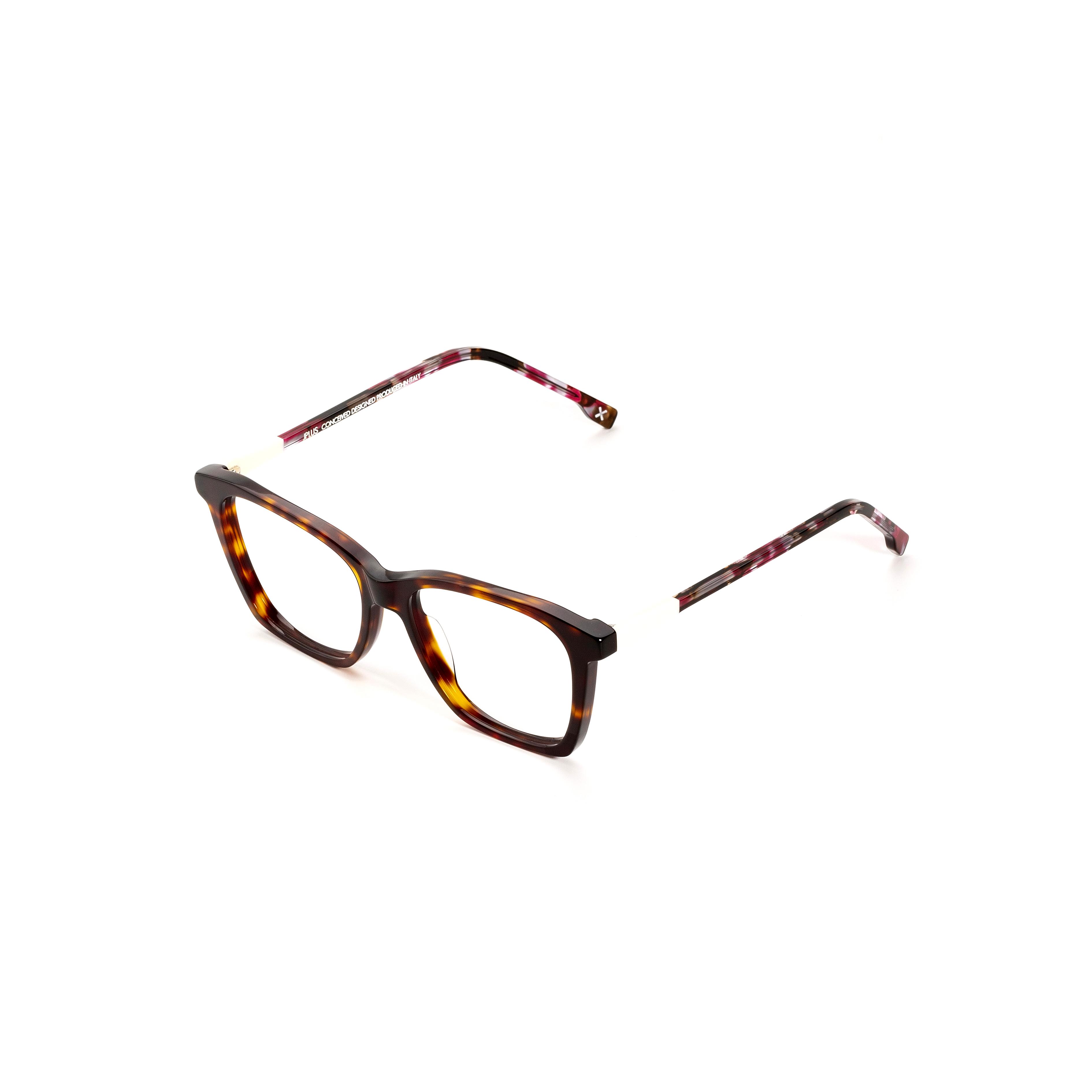 Jplus DYANI 12   Jplus DYANI 12