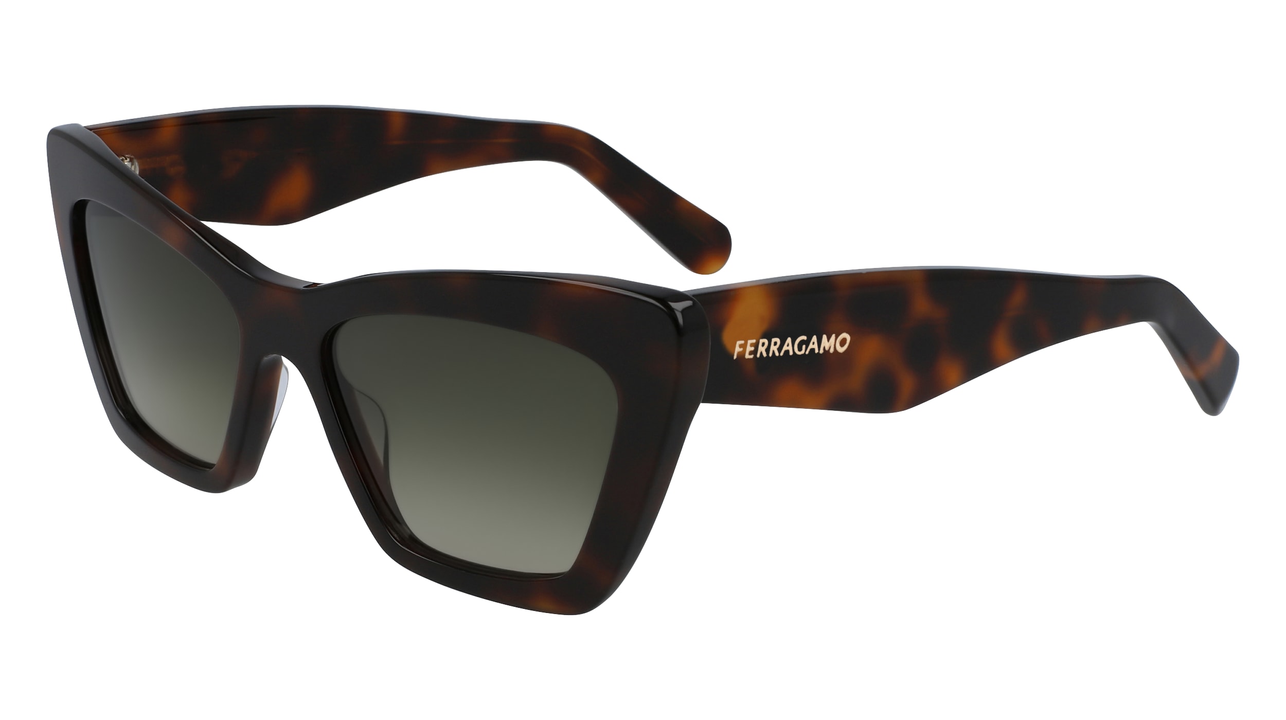 Salvatore Ferragamo SF929SN 219  