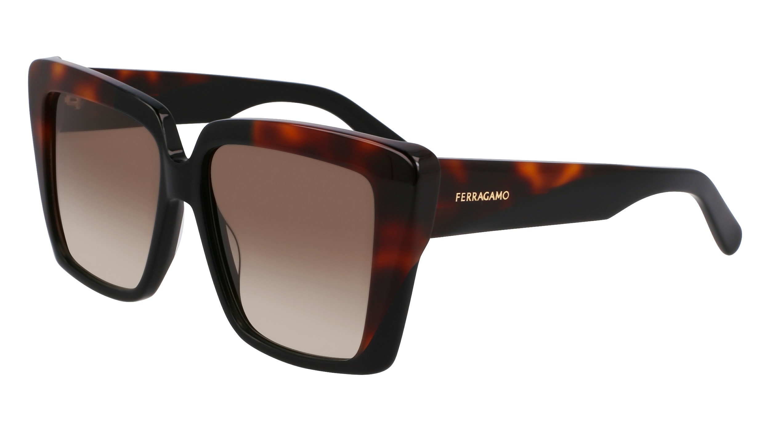 Salvatore Ferragamo SF1060SN 006  