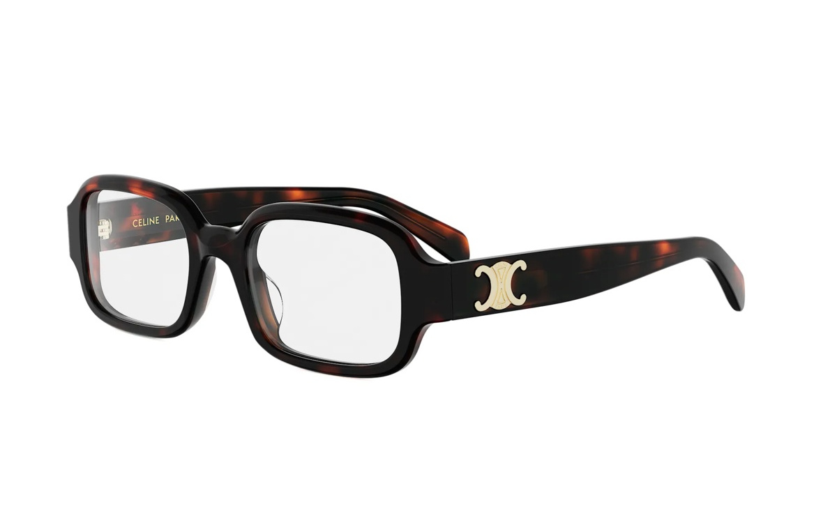 CELINE CL50173I 052 Triomphe