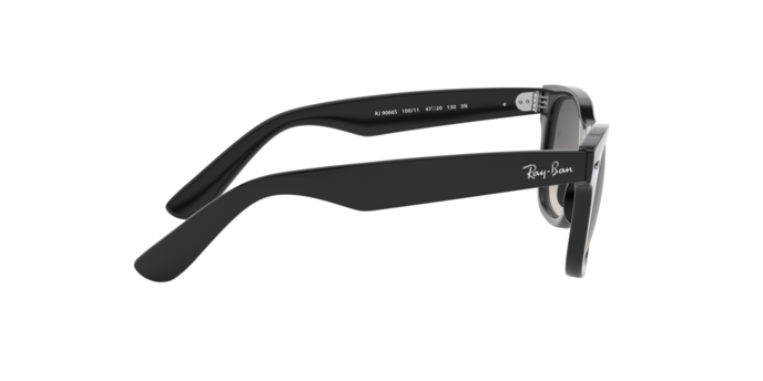 Ray discount ban rj9066s