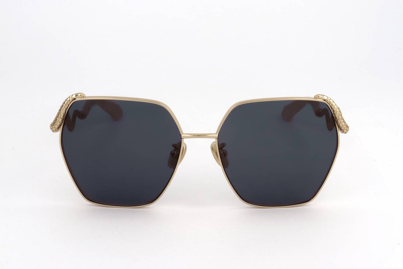 Roberto Cavalli SRC035M 0300  