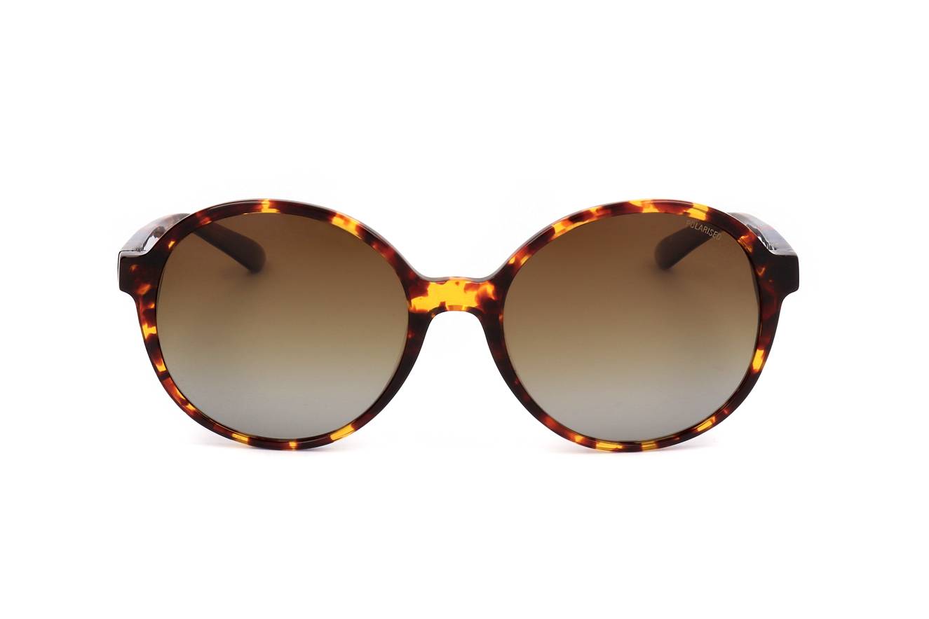 Le Coq Sportif LCS5010A 159  