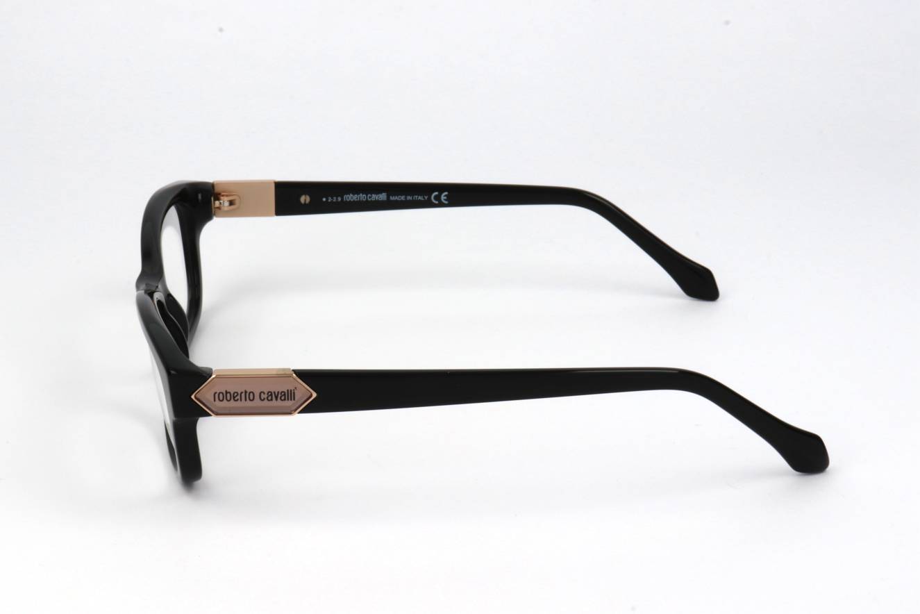 Roberto Cavalli RC0809 005  