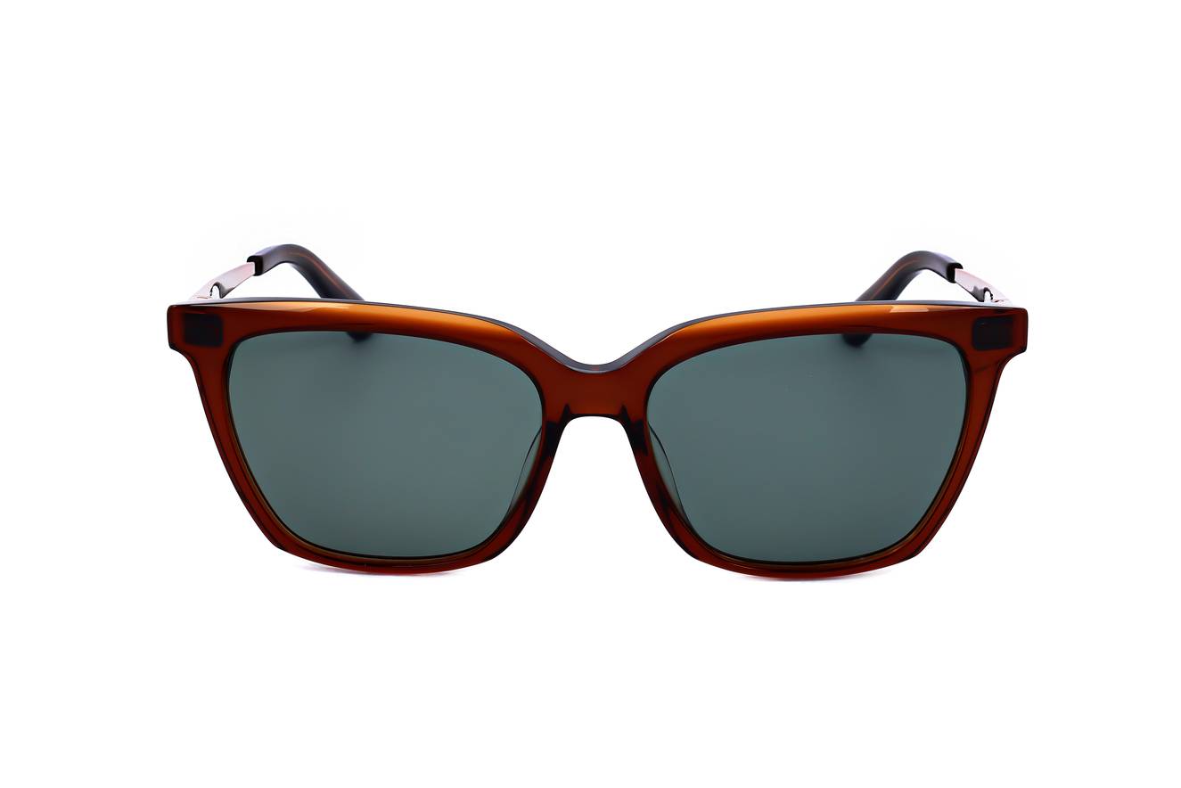 Calvin Klein CK22509 200  