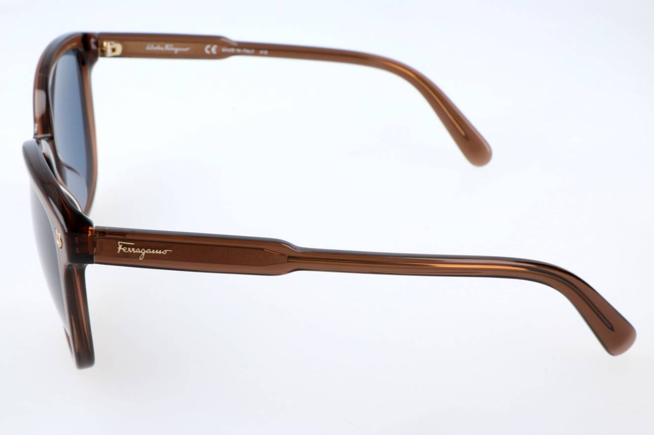 Salvatore Ferragamo SF815S 210  