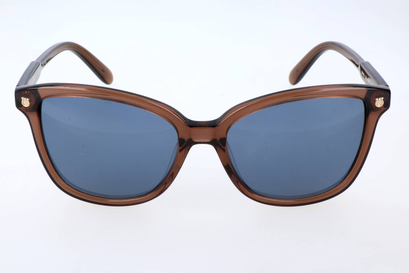 Salvatore Ferragamo SF815S 210  