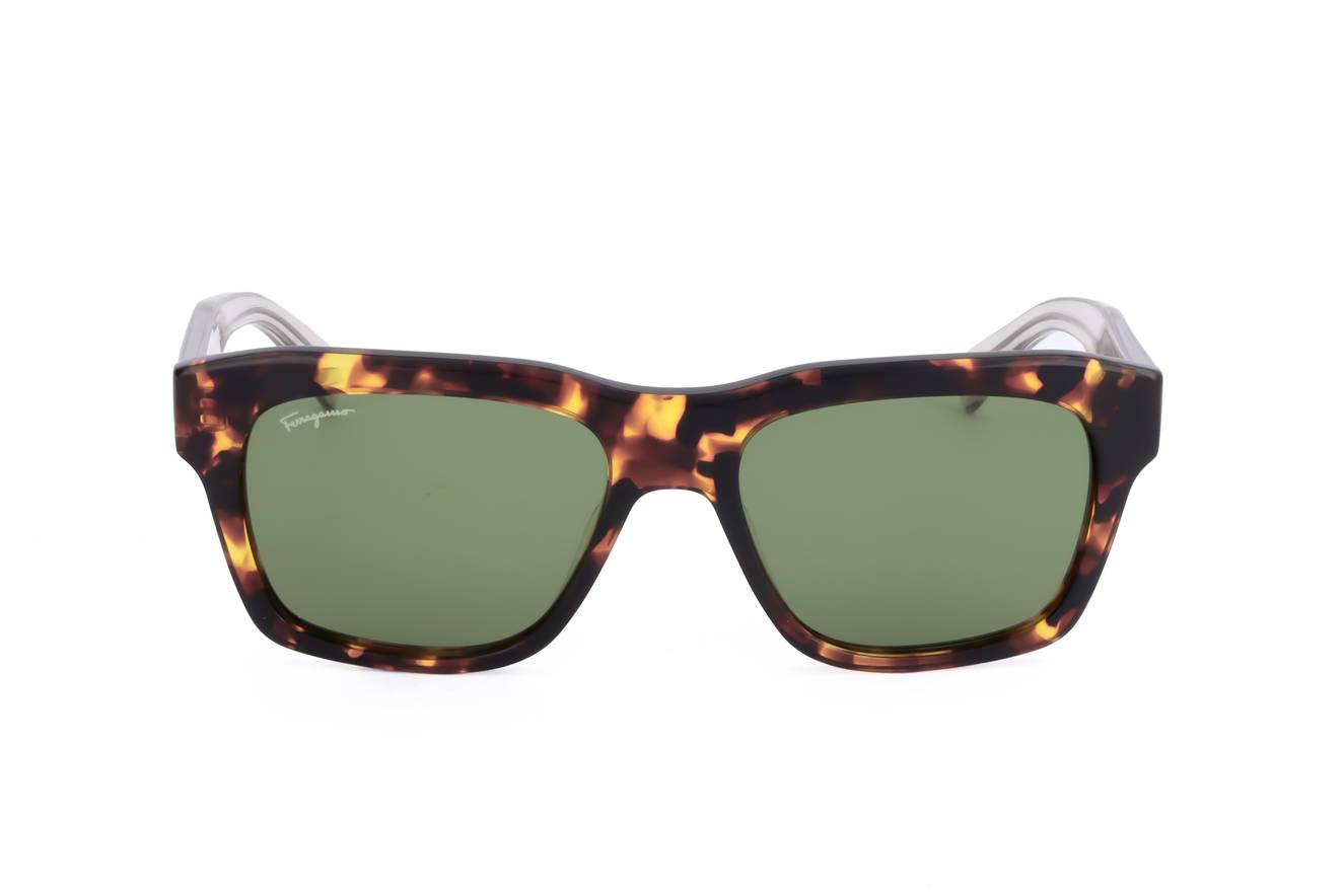 Salvatore Ferragamo SF1087S 219  