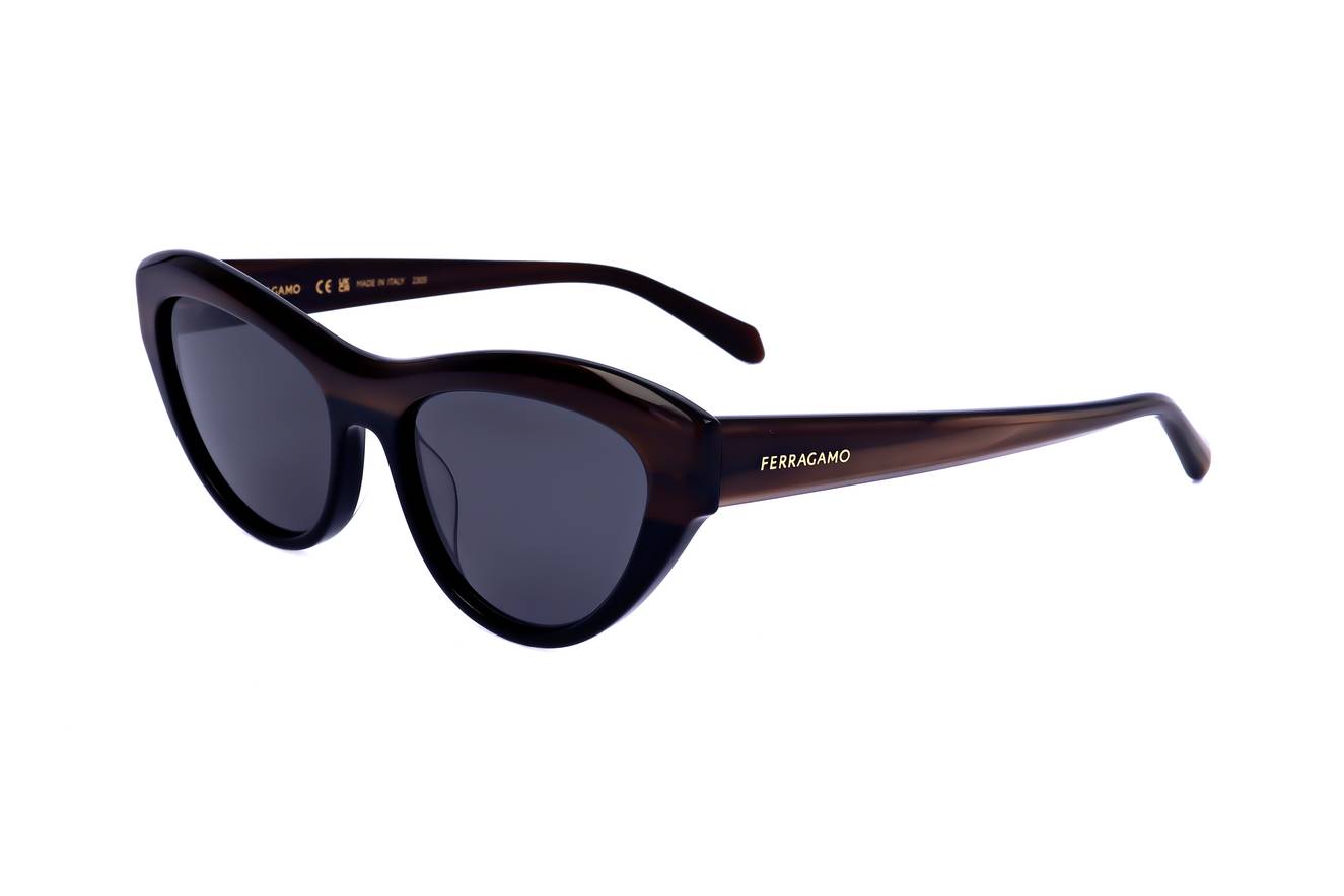 Salvatore Ferragamo SF1103S 217  