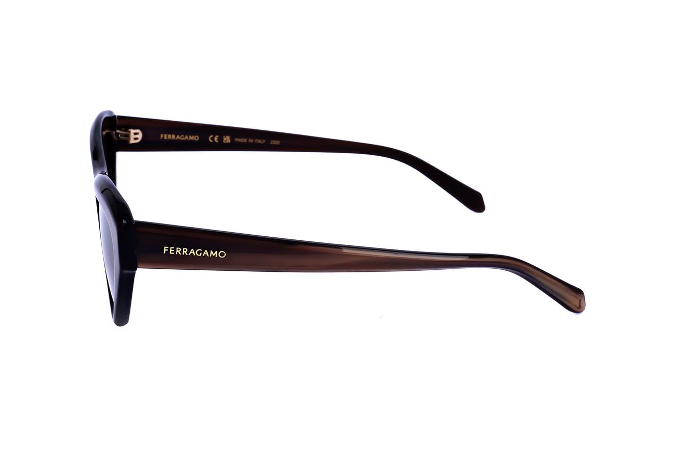 Salvatore Ferragamo SF1103S 217  