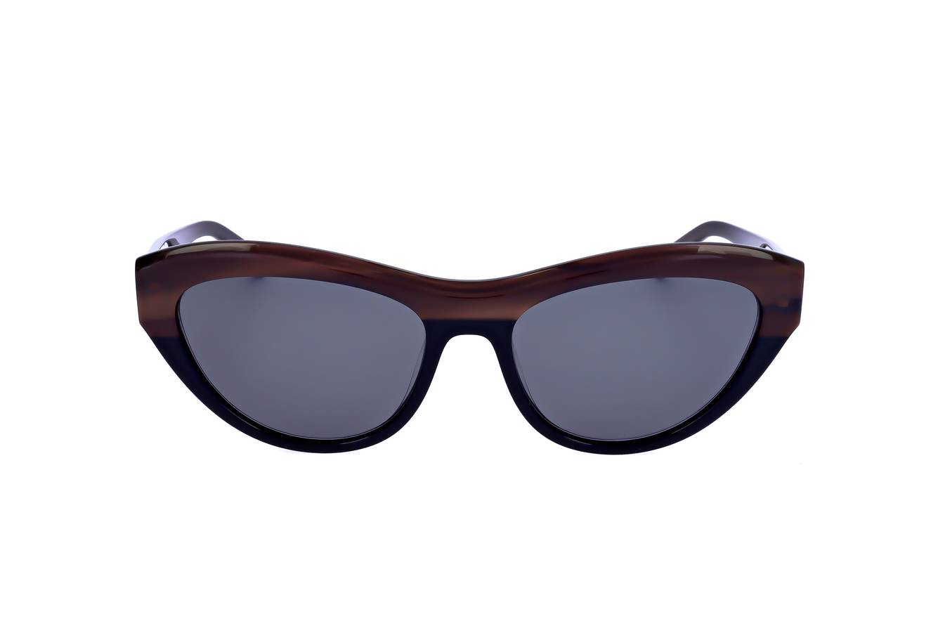 Salvatore Ferragamo SF1103S 217  