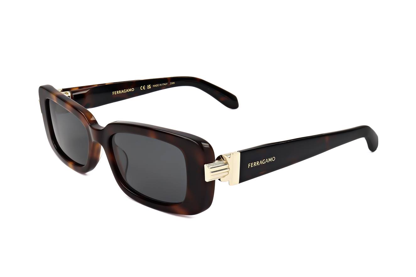 Salvatore Ferragamo SF1105S 240  