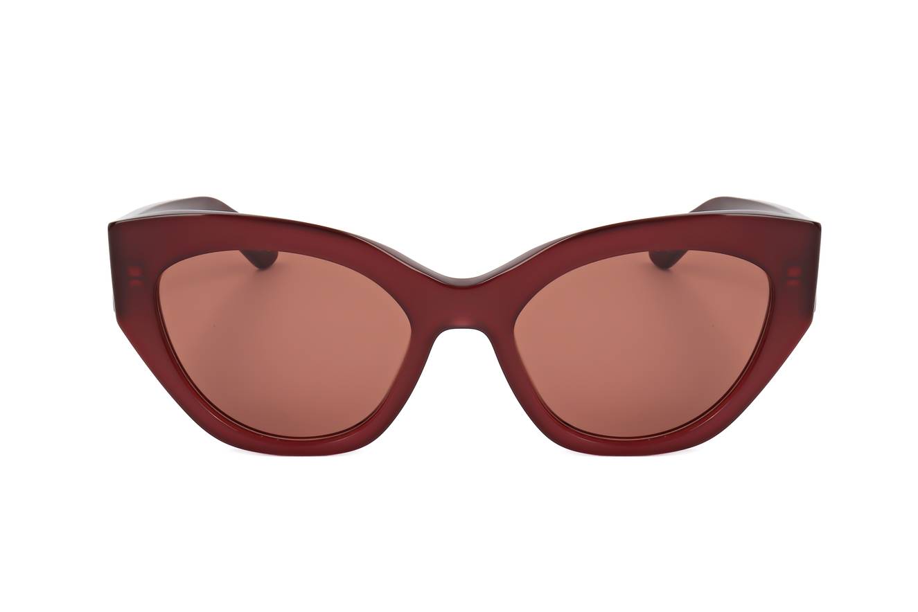 Salvatore Ferragamo SF1107S 653  