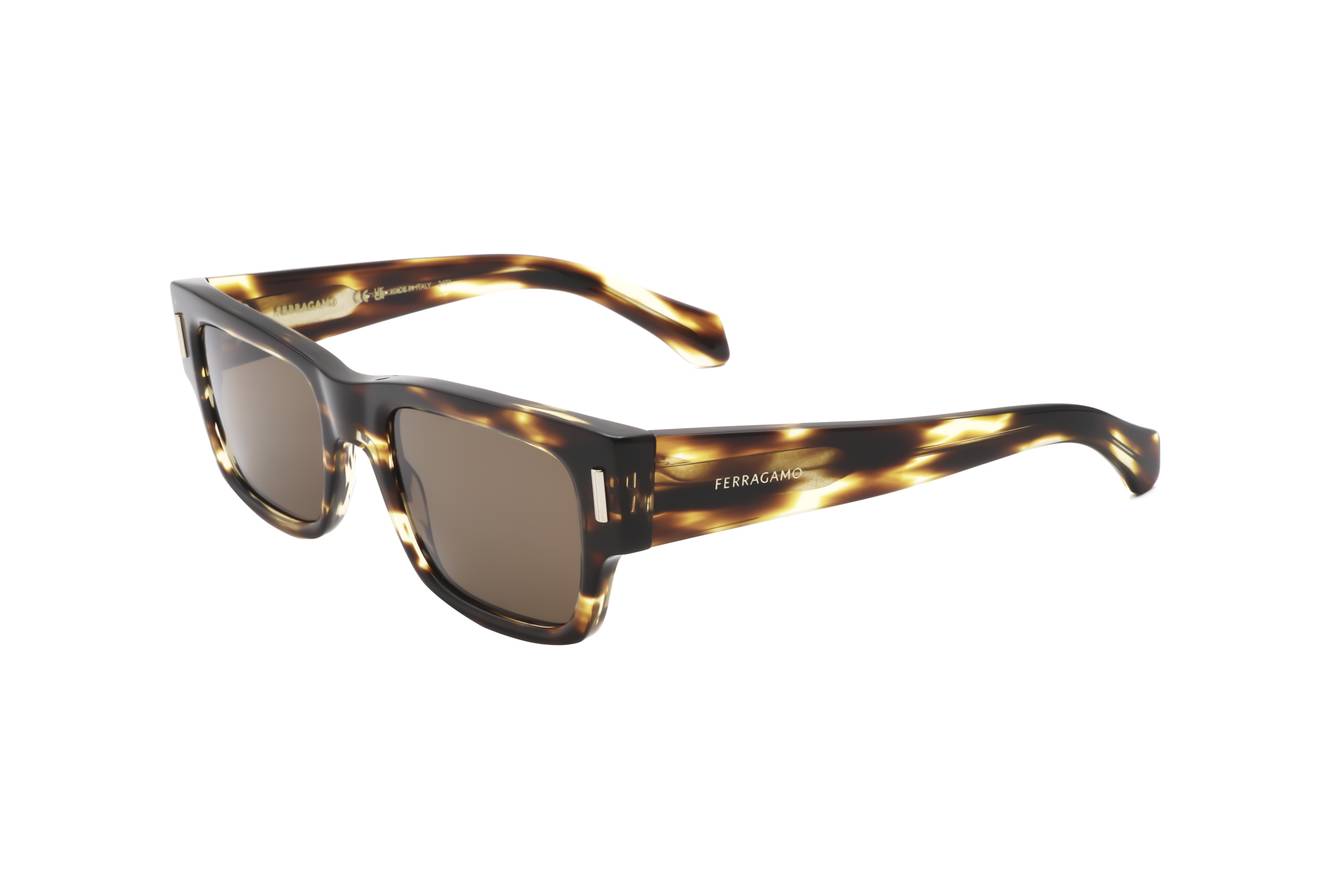 Salvatore Ferragamo SF2011S 216  