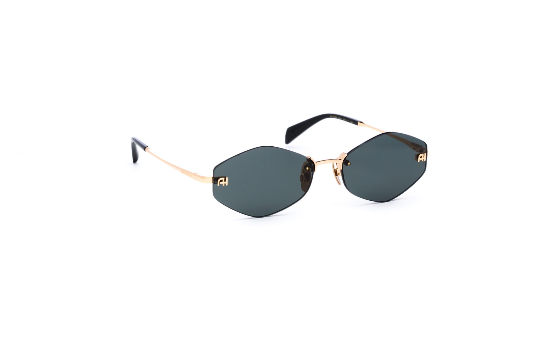 Ana Hickmann AH3306 04H  