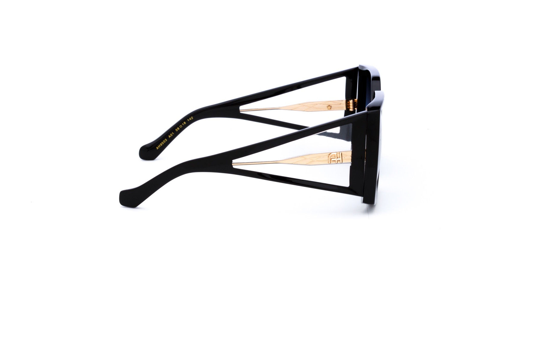 Ana Hickmann AH9503 A01  