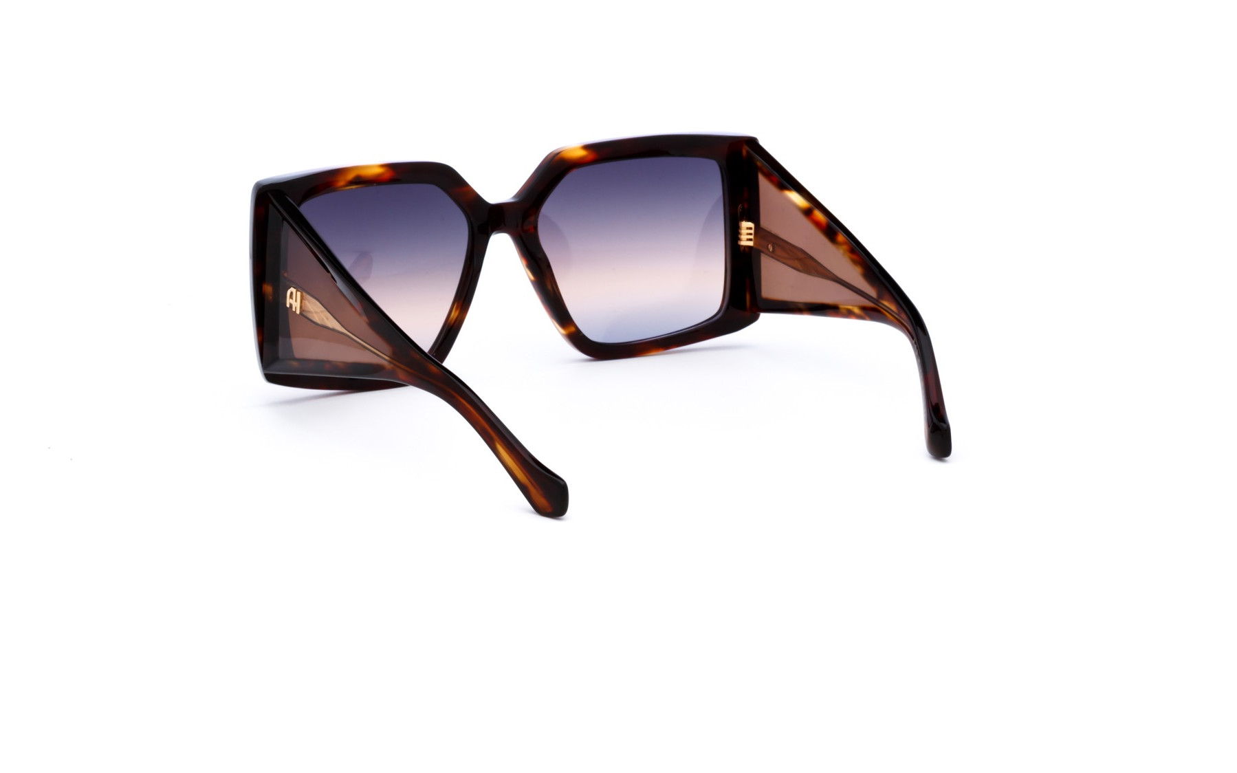Ana Hickmann AH9503 E02  