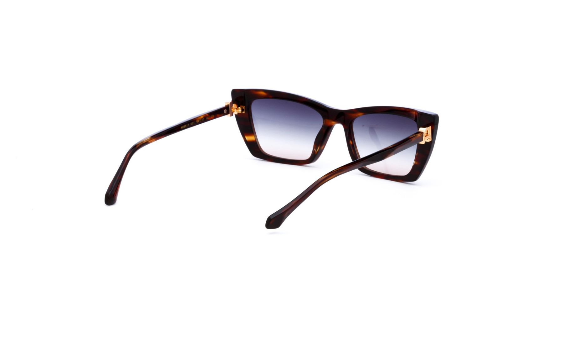 Ana Hickmann AH9517 E01  