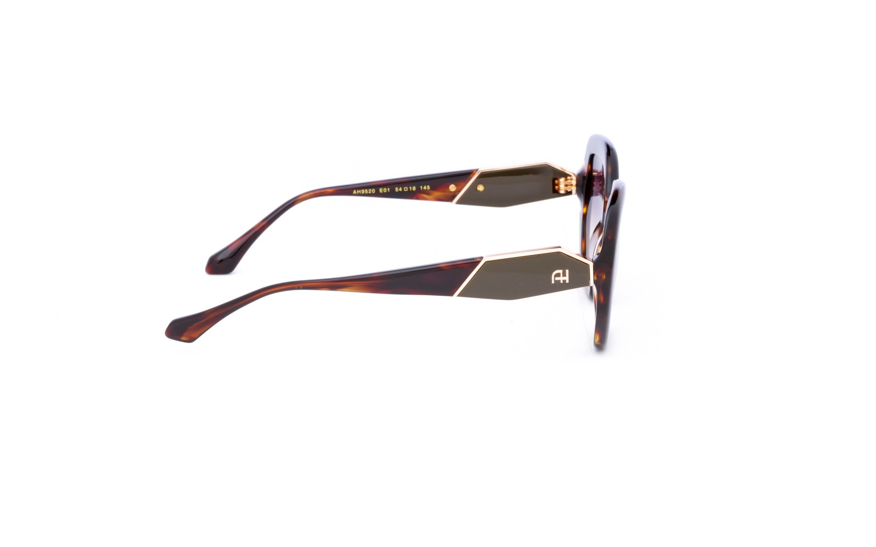 Ana Hickmann AH9520 E01  