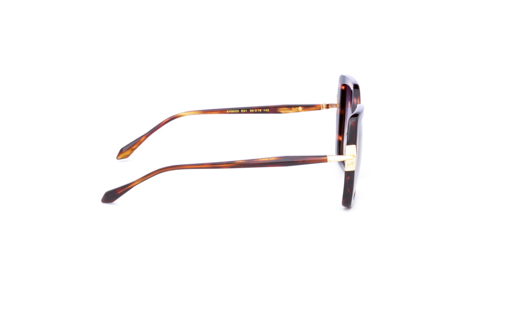 Ana Hickmann AH9523 E01  