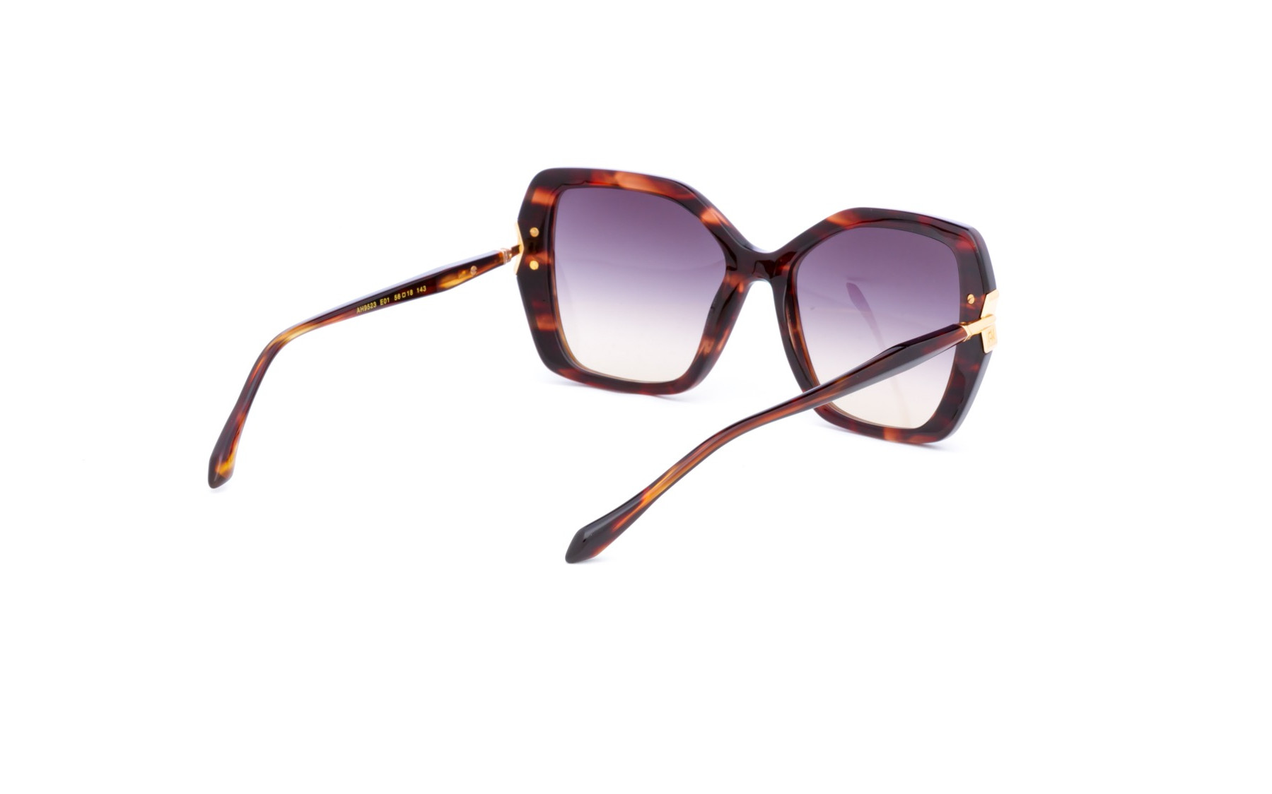 Ana Hickmann AH9523 E01  