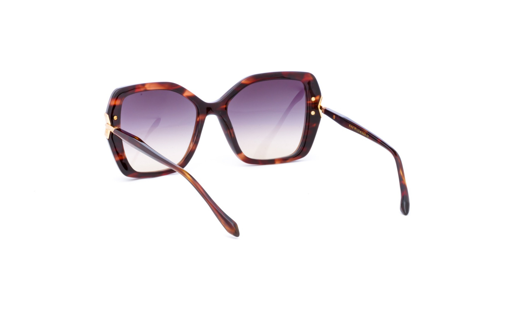 Ana Hickmann AH9523 E01  
