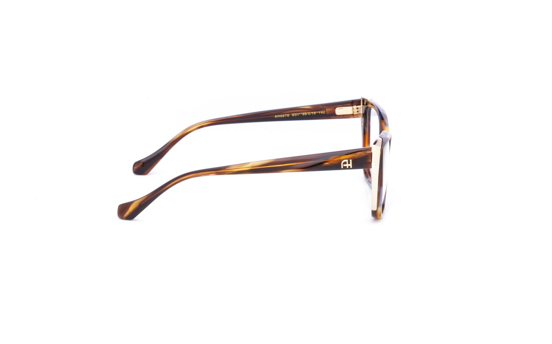 Ana Hickmann AH6676 E01  