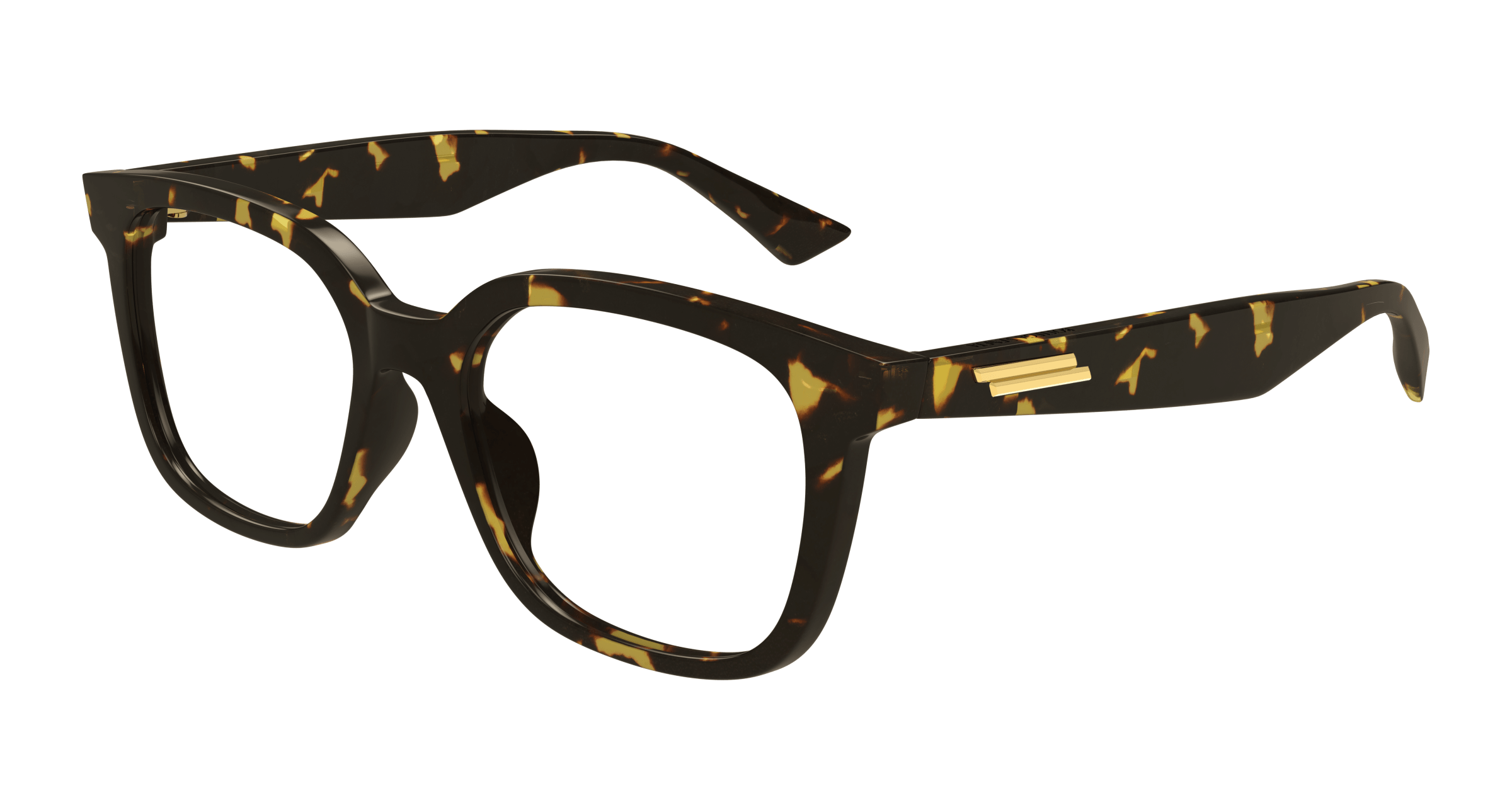 Bottega Veneta BV1334OA-002  