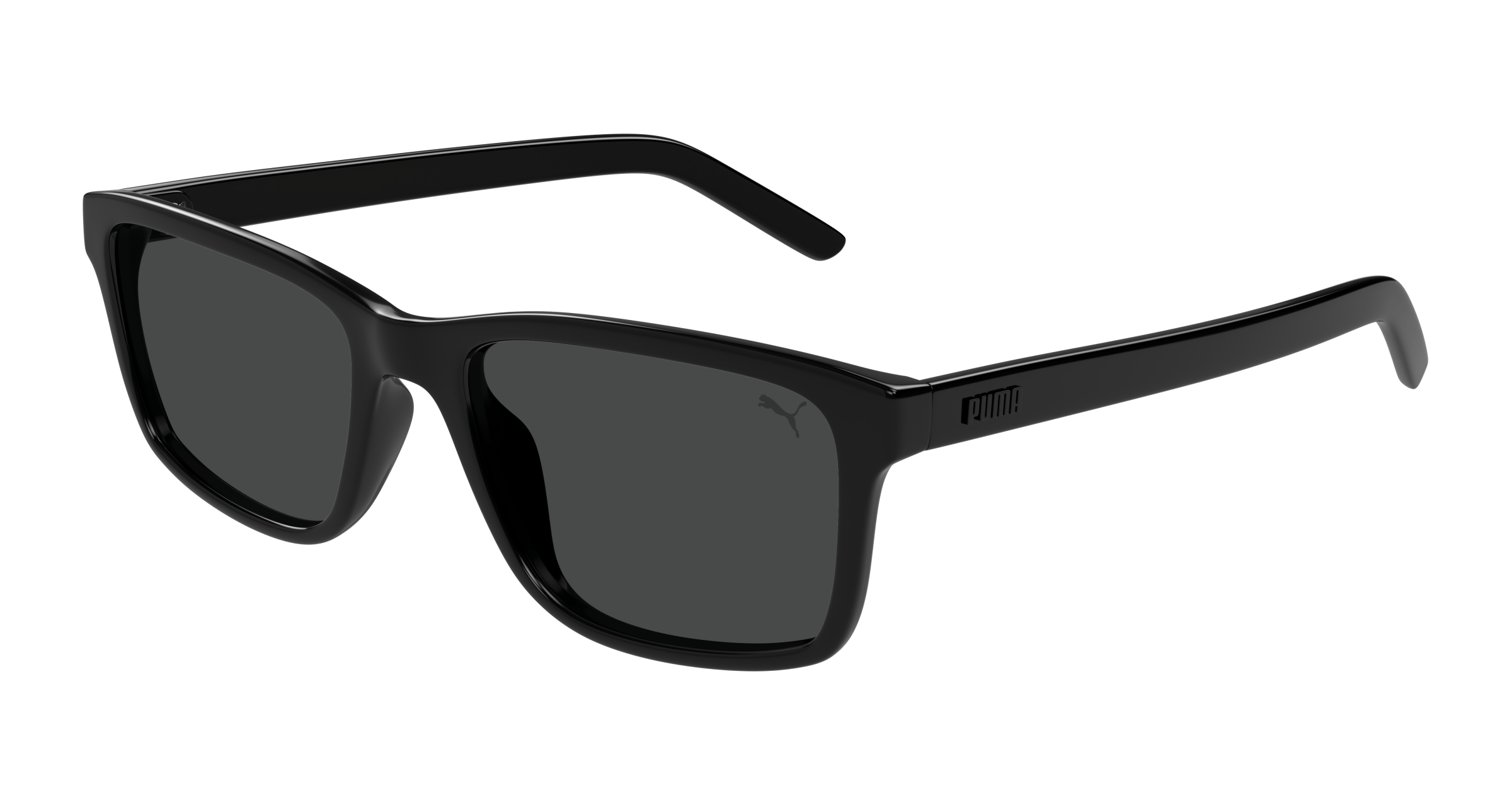 Puma PU0493S-001  