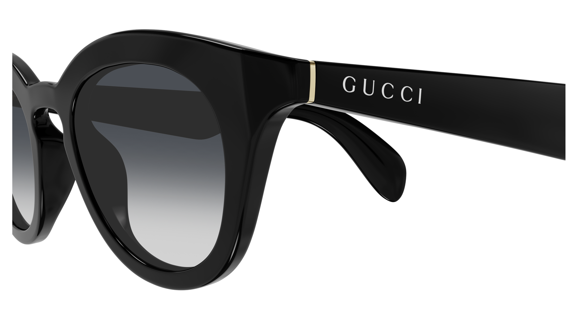 Gucci GG1934S-001  