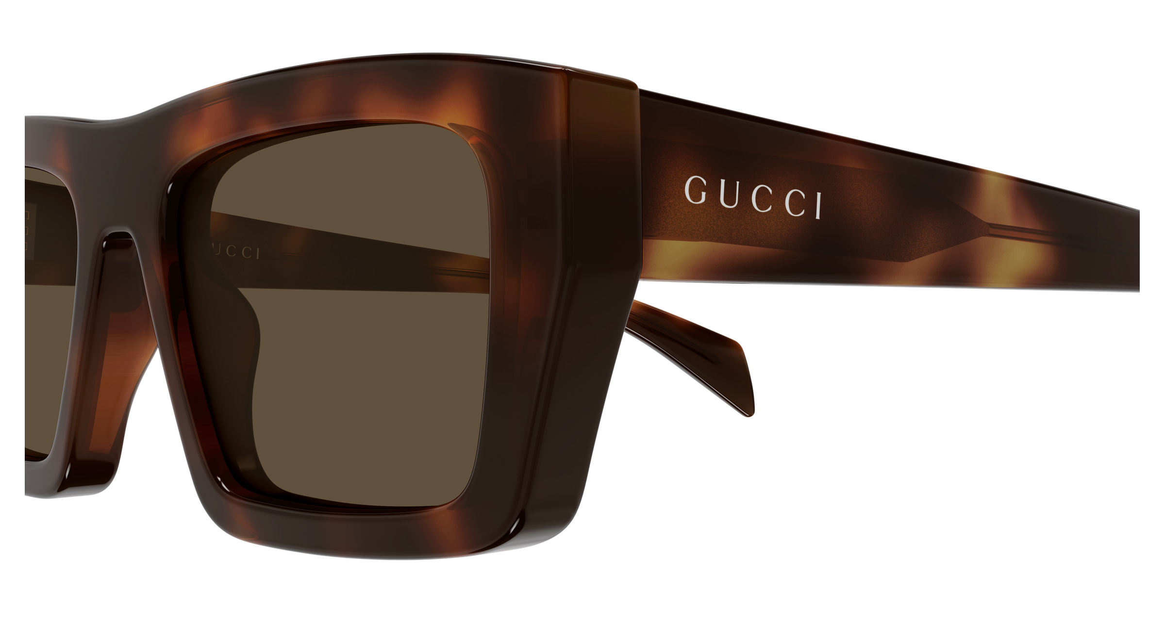 Gucci GG2020S-002  
