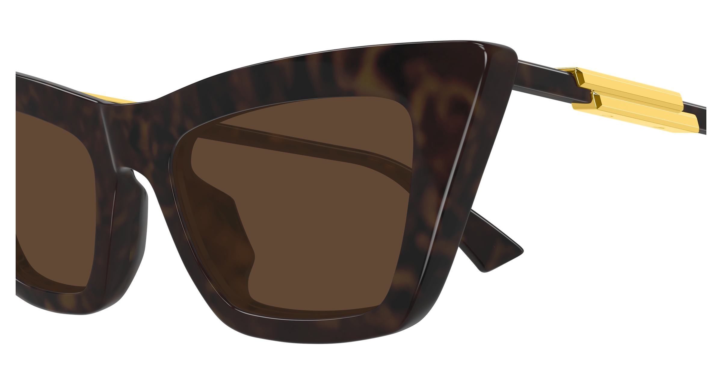 Bottega Veneta BV1446S-002  