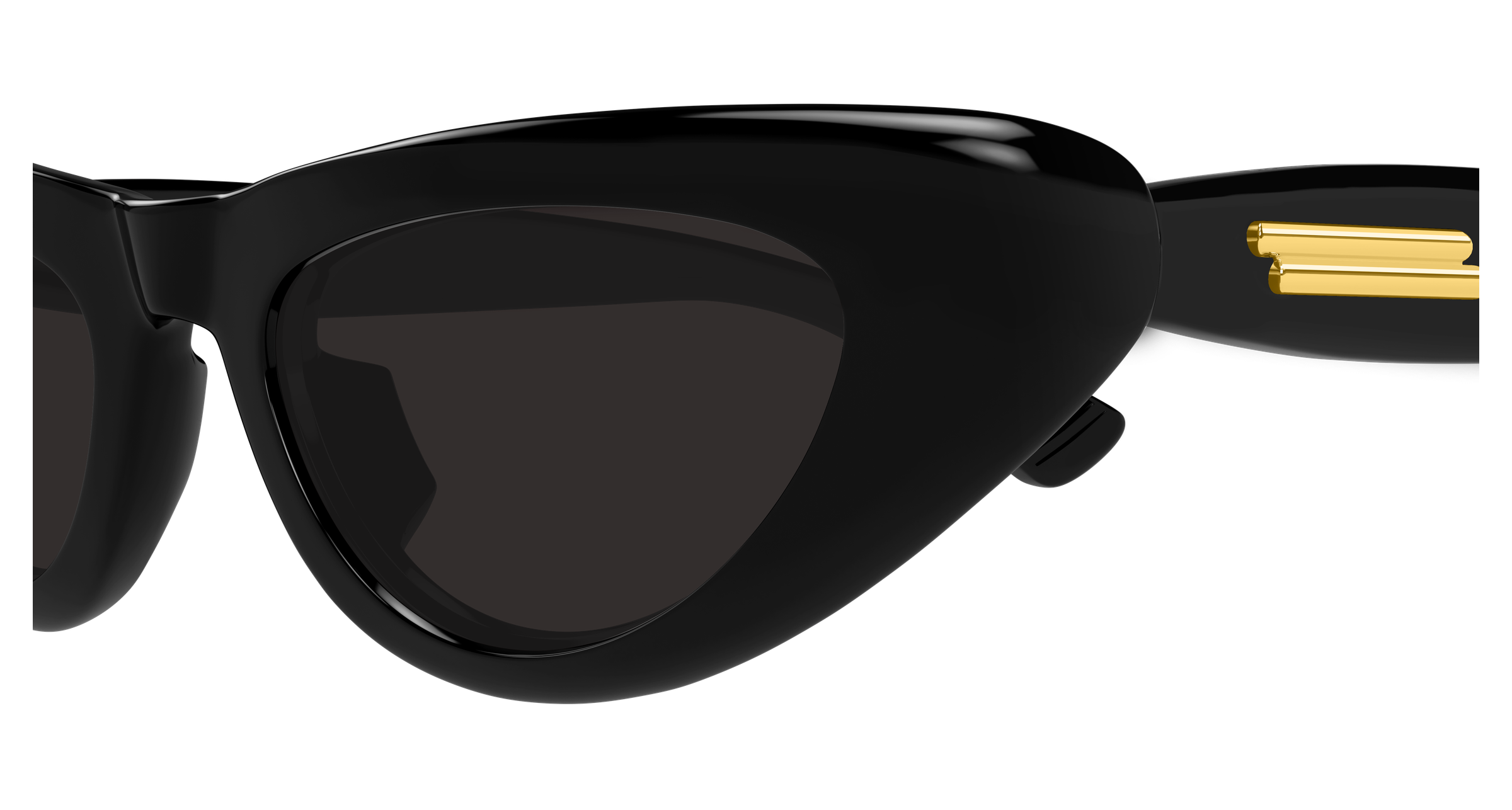 Bottega Veneta BV1450S-001  