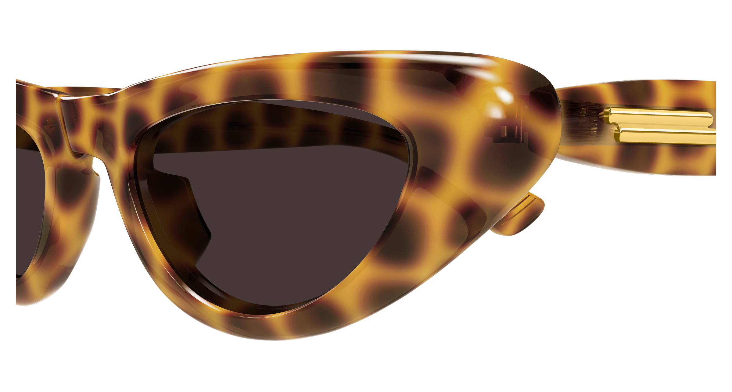 Bottega Veneta BV1450S-002  