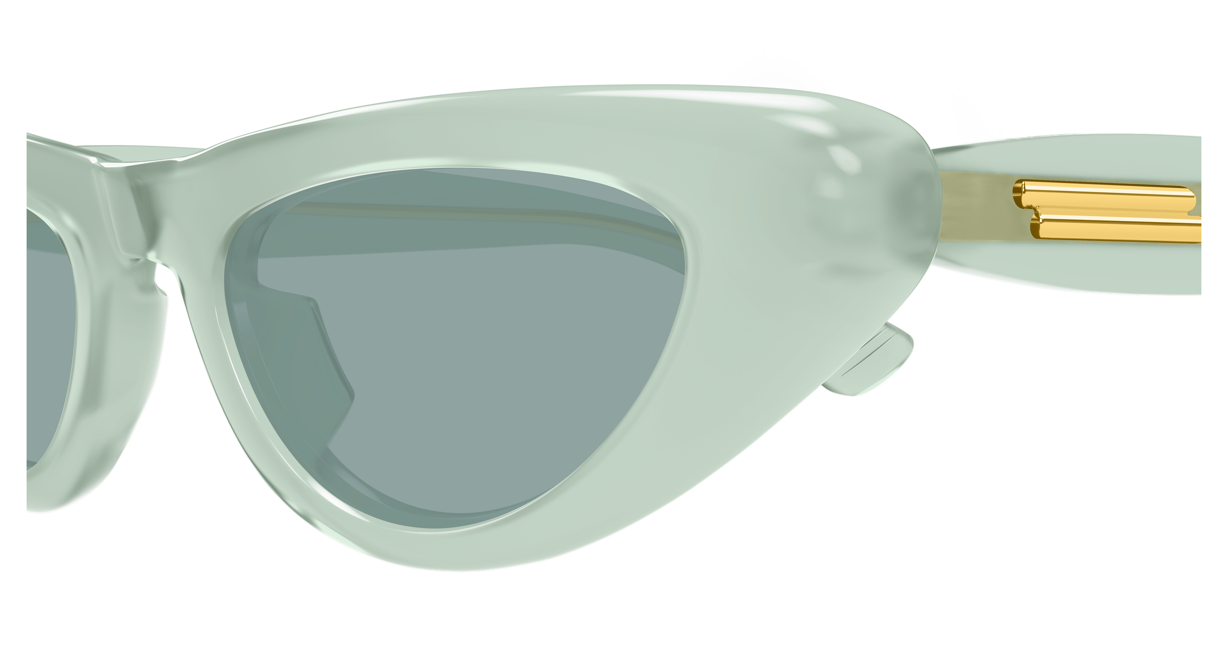 Bottega Veneta BV1450S-003  