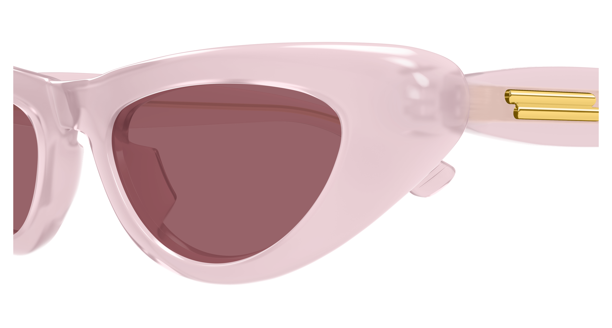 Bottega Veneta BV1450S-004  