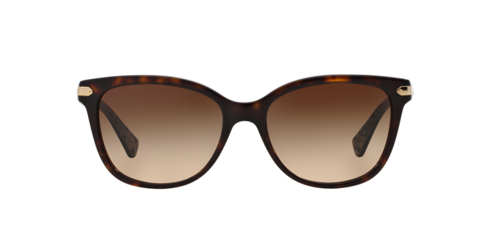 Coach HC8132 529113 L109 | Online Sale - Amevista display picture 1