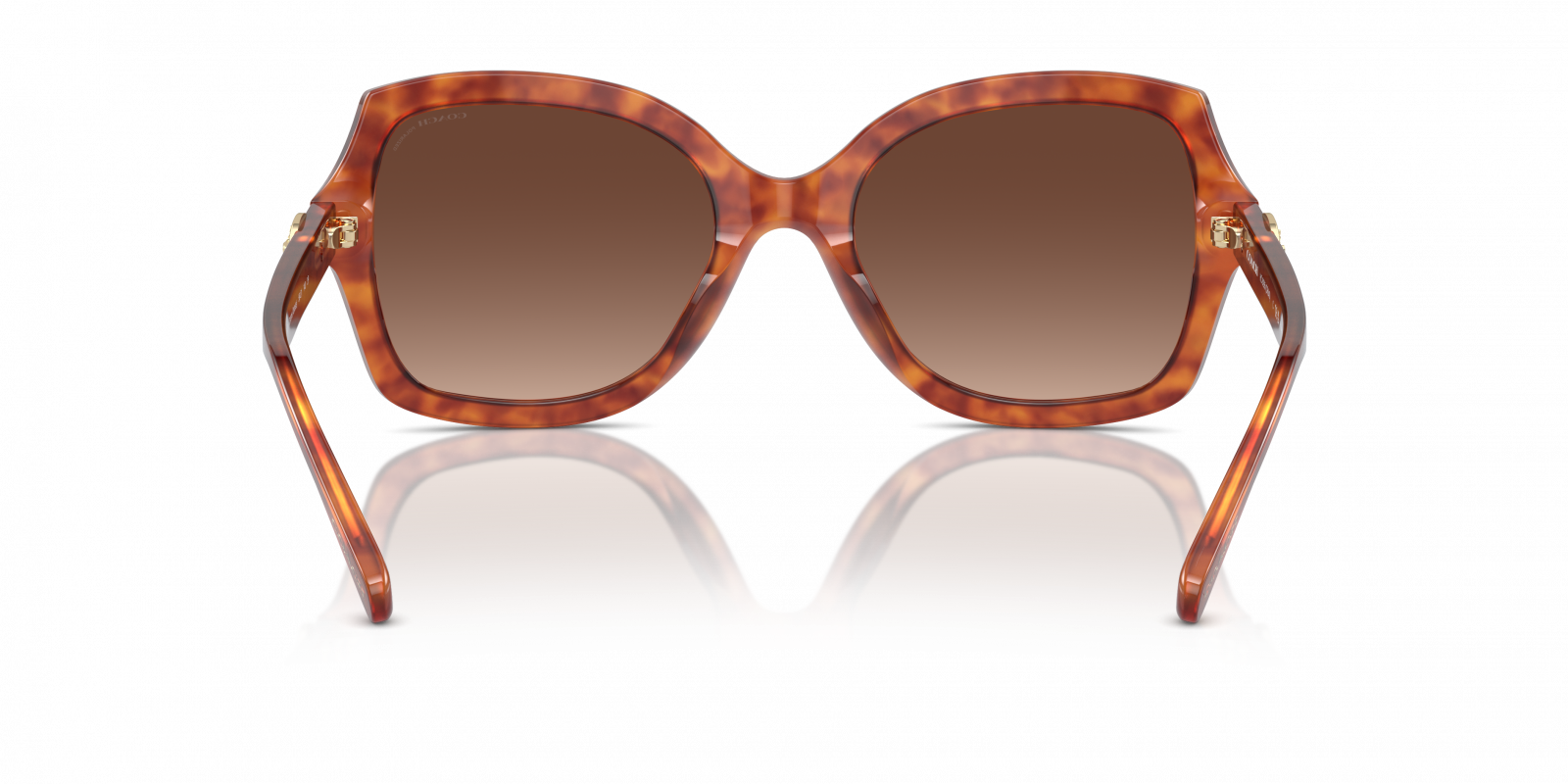 Coach HC8295 Sunglasses d4fbab10-cb2d-458b-ae05-  main image 2