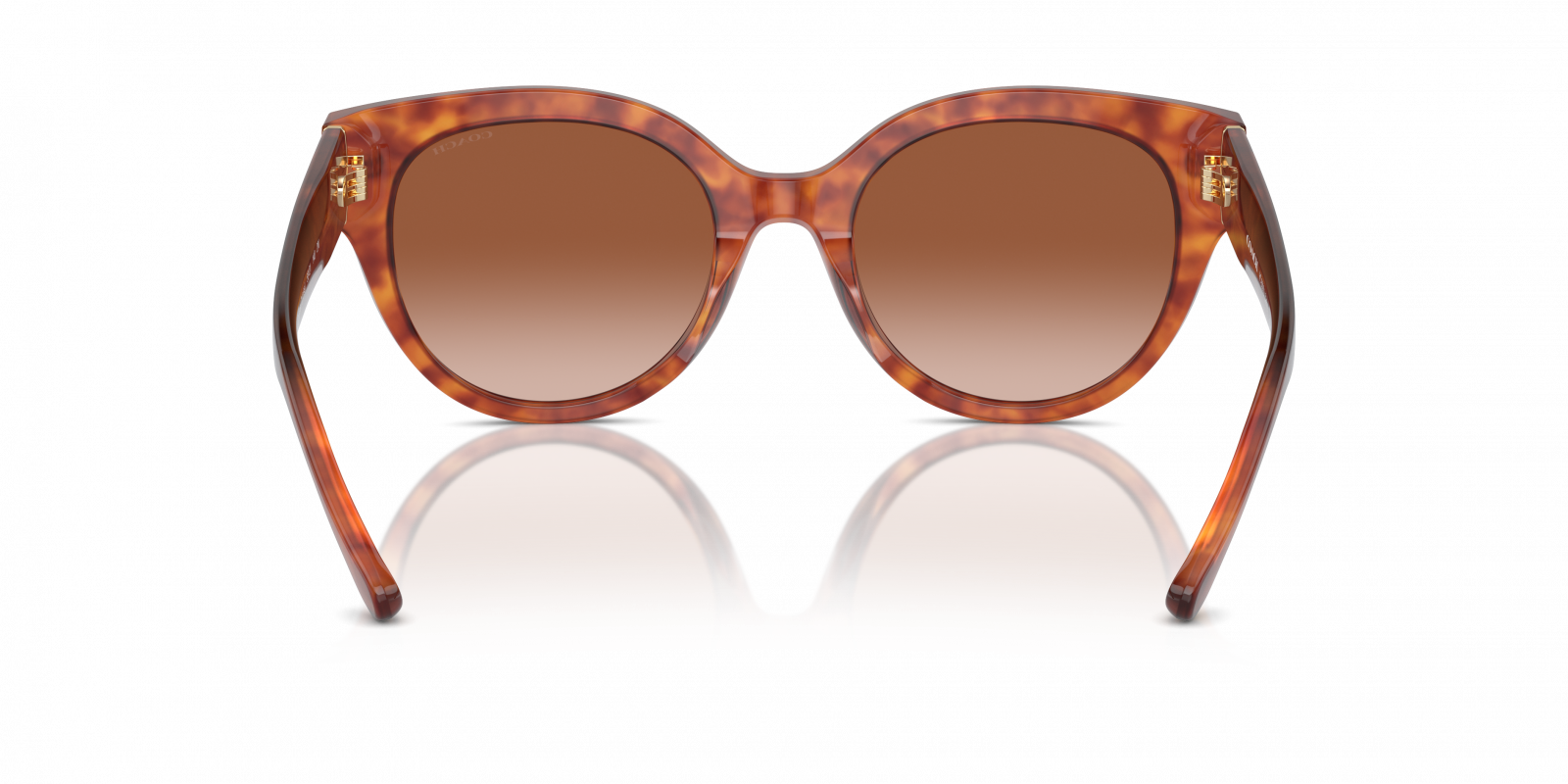 Coach HC8393U Sunglasses HC8393U CR612 Eyeglasses Frames by Coach main image 4