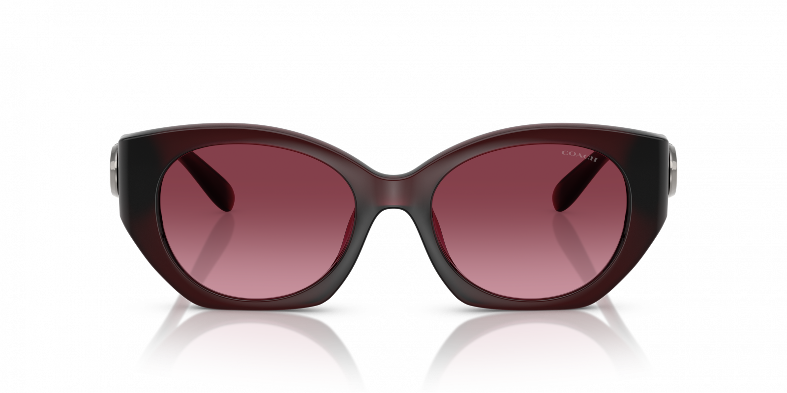 New Coach Sunglasses model 53938H Coach HC8408U 53938H Cw195 | Online Sale - Amevista main image 3