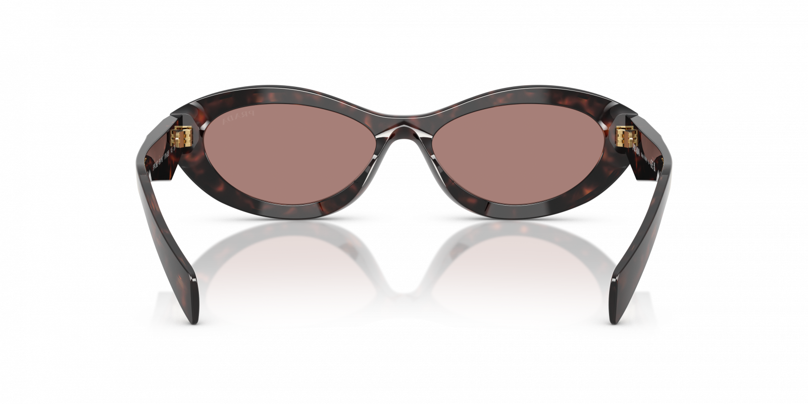 Prada PR26ZS 17N60B Sunglasses Dark Havana Oval Frame, Light Brown Lenses Prada PR 26ZS 17N60B Women main image 3