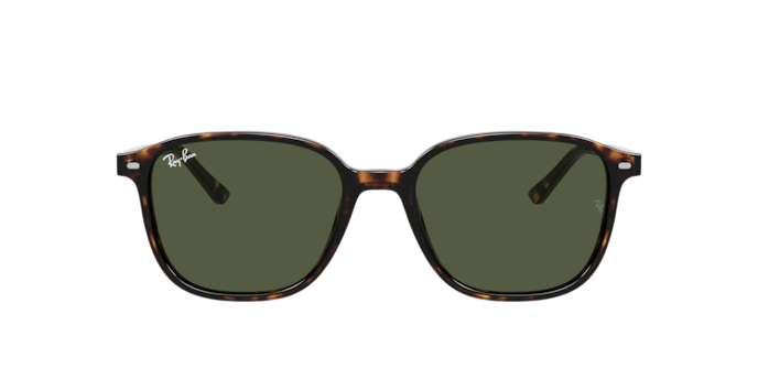 Ray-Ban RB2193 902 31 Leonard Sunglasses - Tortoise Frame  display picture 3