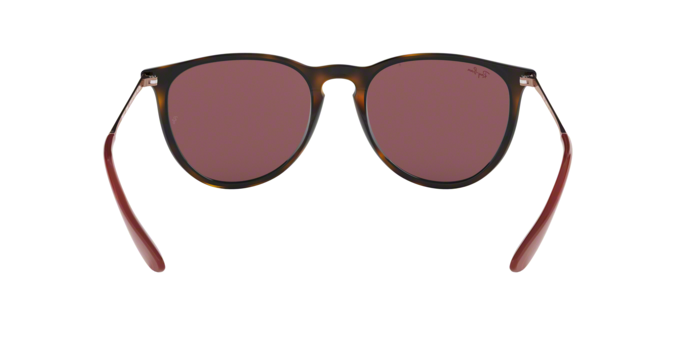 Ray-Ban RB4171 639175 Erika | Online Sale - Amevista display picture 1