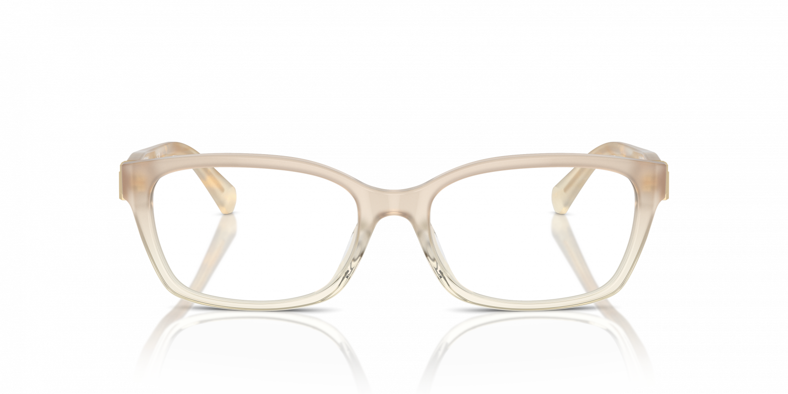 Ralph Lauren RL6244U 6184 | Online Sale - Amevista display picture 2