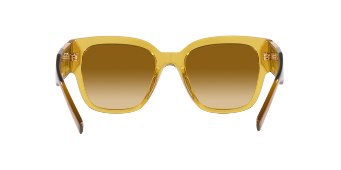 VERSACE Yellow VE4437U Sunglasses Versace VE4437U M (54 - 20) with Brown lenses and Gold frame  main image 2
