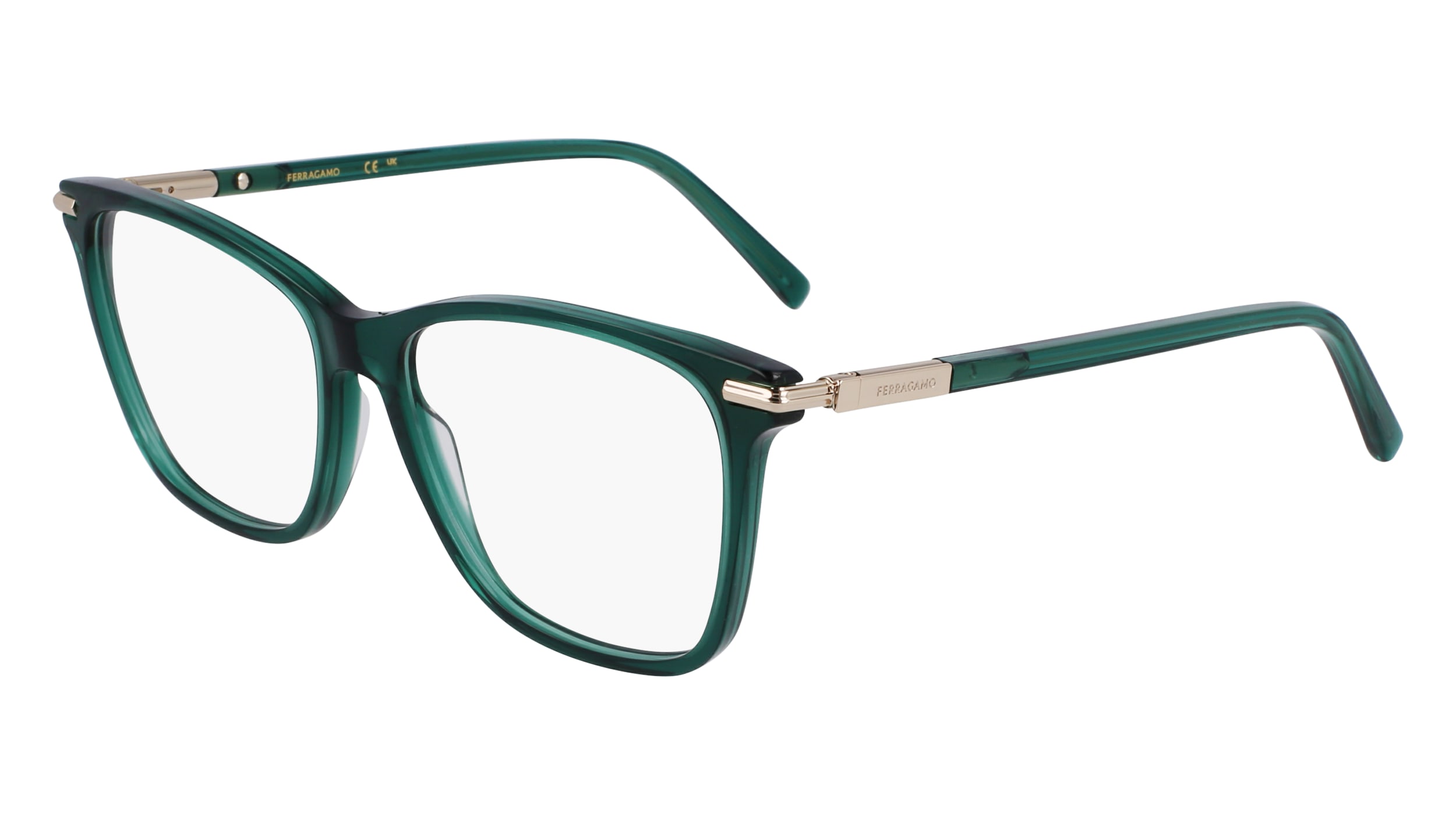 Salvatore Ferragamo SF3013 317  