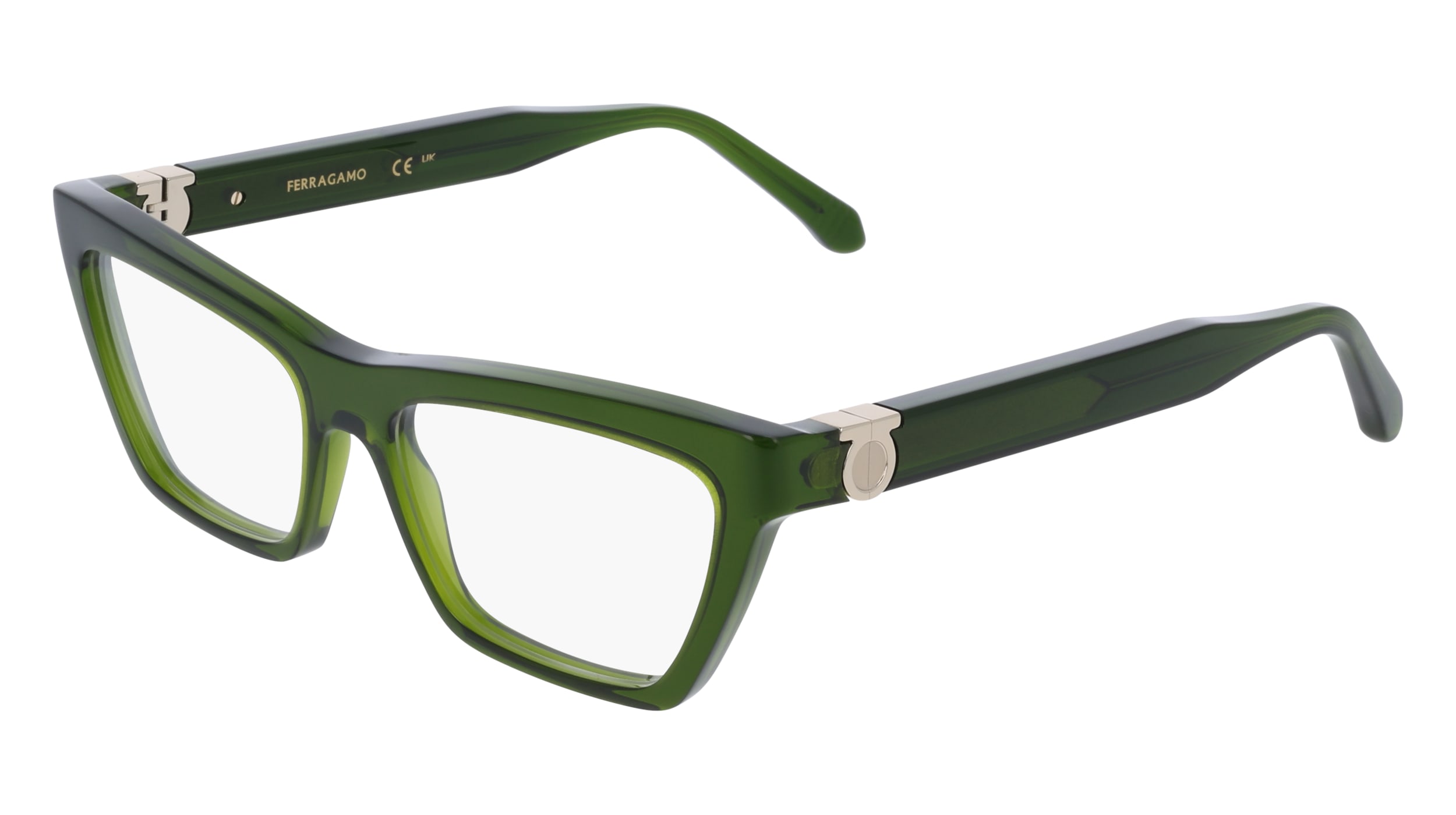 Salvatore Ferragamo SF3021 317  