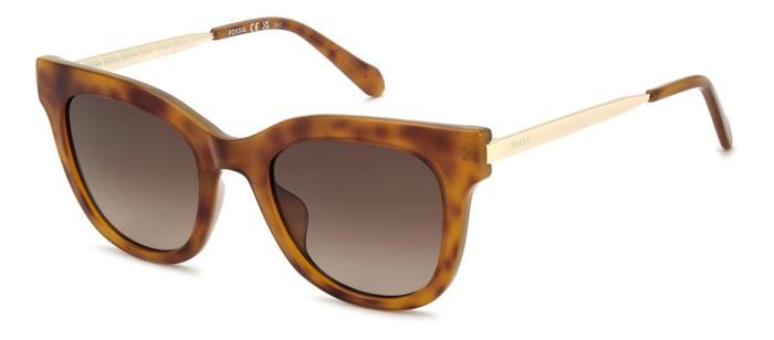 Fossil FOS 2169/G/S SX7/HA  