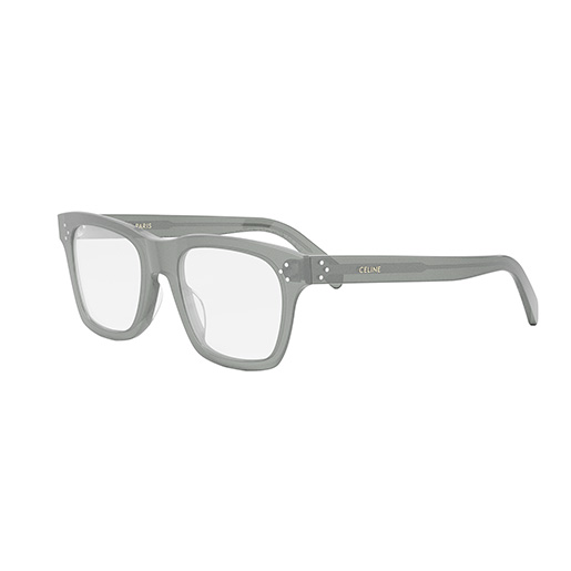 CELINE CL50119I 096